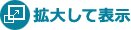 拡大して表示